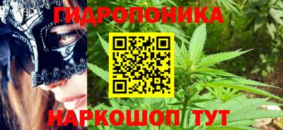 apvp Кунгур