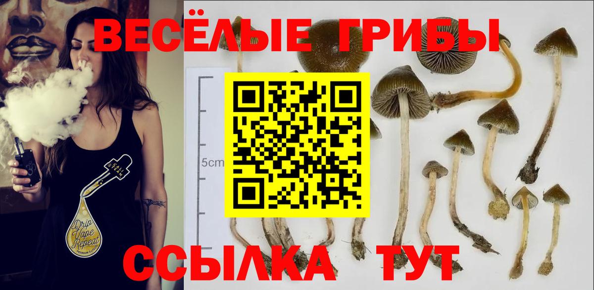 Галлюциногенные грибы мухоморы  Вход с VPN  Псилоцибиновые грибы MAGIC MUSHROOMS  Дмитров 